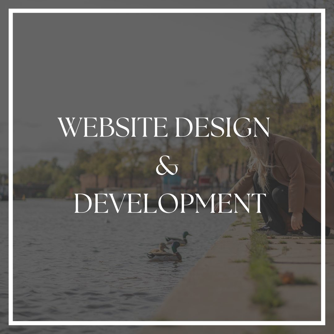 Website Design & Development